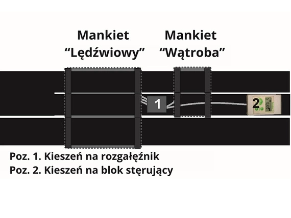 Gorset - moduł wibroakustyczny Vitafon