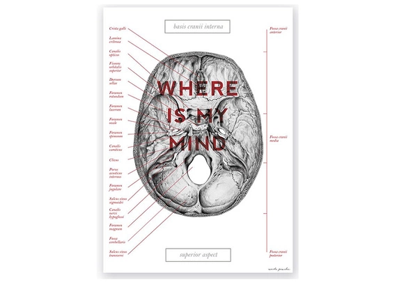 Plakat Podstawa Czaszki - Where Is My Mind