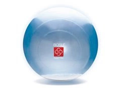 BOSU Ballast Ball