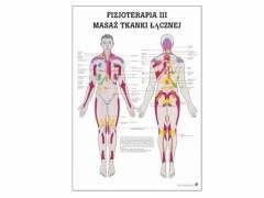 Tablica anatomiczna "Fizjoterapia III"