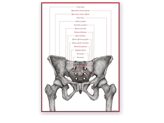 Plakat Kości Miednicy - Remember