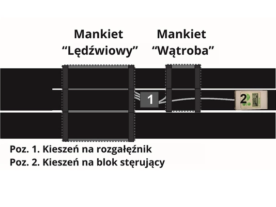 Gorset - moduł wibroakustyczny Vitafon