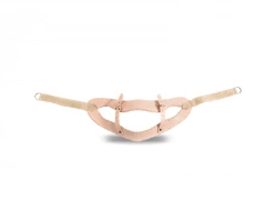 Pętla Glissona US/02/1